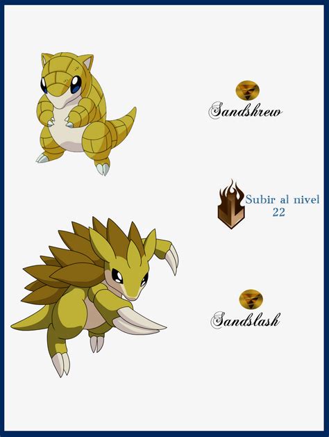 sandslash evolution|sandshrew evolution level.